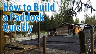 How to Build a Paddock in an Hour and a Half [upl. by Aicire]