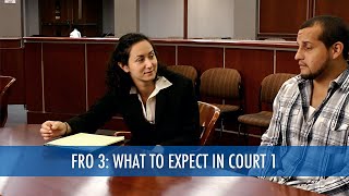 What to Expect in Court 1 of 2 Final Restraining Order 37 [upl. by Eldredge306]