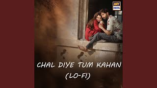 Chal Diye Tum Kahan LoFi [upl. by Esil]