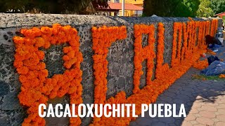 CACALOSUCHIL 2024 DÍA DE MUERTOS [upl. by Hereld]