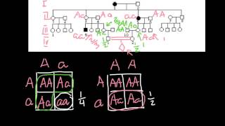 pedigree analysis  In the following human pedigree the filled symbols represent the affected [upl. by Akissej]