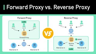 The Difference Between a VPN and a Proxy Server [upl. by Wardlaw169]