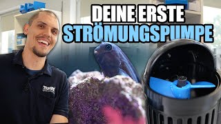 Deine erste Strömungspumpe  Was man beachten muss [upl. by Stiruc]