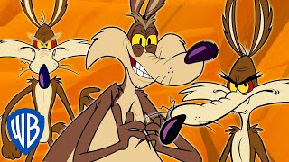 Looney Tunes  Wile E Coyote Genius Extraordinaire  30 Minutes [upl. by Kelsi]