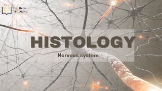 USMLE Neurology  Histology  بالعربي [upl. by Jolene330]