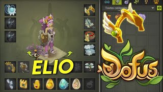 LELIOTROPE 17 PA SUR DOFUS [upl. by Odranar925]