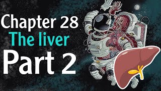 Physiology chapter 28 The Liver part 2  فسلجة وزاري [upl. by Stricklan471]