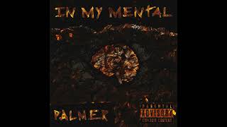 In My Mental  Pamer Prod by dragosmarcus [upl. by Nimrak39]