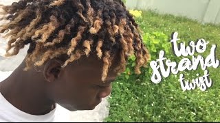 4C NATURAL HAIR TWOSTRAND TWIST amp TWISTOUT  TUTORIAL [upl. by Nirre128]