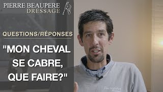 Le cheval qui se cabre  Les sessions QuestionsRéponses [upl. by Eatton]