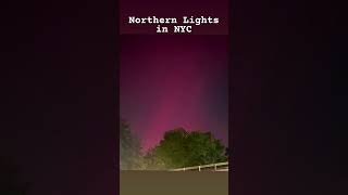 Northern Lights nyc northernlights beautifulnature alanwalker [upl. by Nicholas]