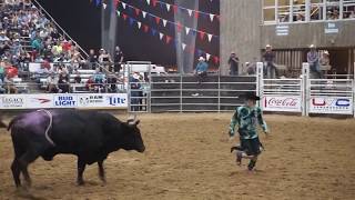 PRCA Professional Freestyle Bullfighting  Pasadena Rodeo [upl. by Guria]