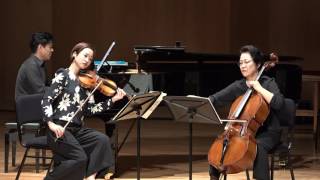 Piano Trio No 1 in D minor [upl. by Ardnaxela]