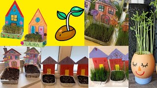 10 ideas de Germinadores  huertos escolares jardinería experimentos con plantas marliza [upl. by Askwith]