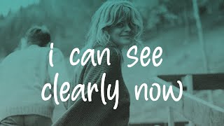 Johnny Nash  I Can See Clearly Now Lyrics [upl. by Yenffit998]