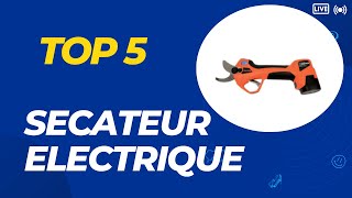 Les 5 Meilleurs Sécateurs Électriques Sans Fil en 2024 [upl. by Selimah]