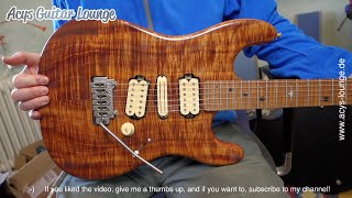 Warmoth HSH guitar Häussel Vin Bridge and Neck [upl. by Aikaj]