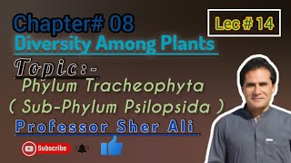 Phylum Tracheophyta Psilopsida chapter 8th by Professor Sher Ali [upl. by Sacken866]