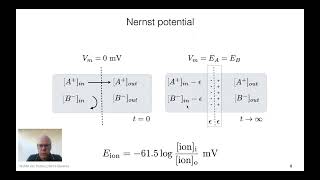 Basics I Electrophysiology of the Neuron Excitable Cells [upl. by Aynek135]