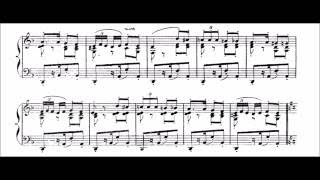 Bizet  Habanera from Carmen  Cyprien Katsaris Piano [upl. by Geno]