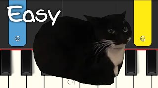 MAXWELL THE CAT  EASY PIANO TUTORIAL [upl. by Collins851]