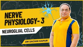 MBBS First Year  Nerve Physiology  Neuroglia amp Myelination  Dr Sachin Kapur  AIIMS [upl. by Notlrac]