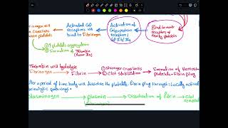 Antiplatelets [upl. by Selrahc]