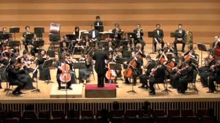 Elger  Concerto for Violoncello and Orchestra in E minor op85 2nd mov [upl. by Robb]