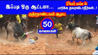 ருத்ரதாண்டவம் ஆடிய 50 காளைகள்  sevalur best jallikattu video [upl. by Ennagrom]