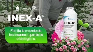 INEXA El coadyuvante seguro para la floricultura [upl. by Marylinda]