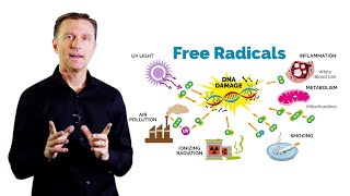 What Is Oxidation – DrBerg on Free Radicals and Antioxidants [upl. by Yenruogis]