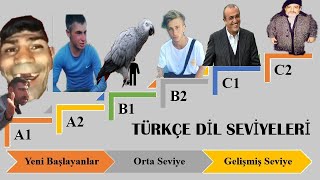 TÜRKÇE DİL SEVİYELERİ [upl. by Birdella612]