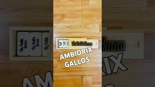 AMBIORIX GALLOS placa personalizada pidela al 809 969 2717 [upl. by Ikkaj]