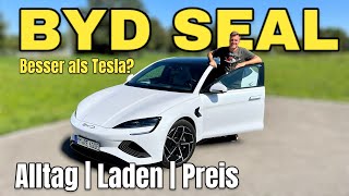 BYD SEAL Besser als das Tesla Model 3 AlltagsTest mit Ladeleistung  LFPAkku  BladeBatterie [upl. by Hurleigh]