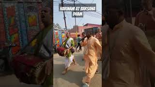 Harinam at Barsan aDham with HG Rakhalraj Prabhuji motivation dayaveerdas harekrishna [upl. by Atihcnoc]