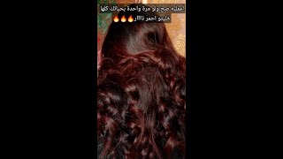 اعمليها صح و لو مرة واحدة بحياتك✅️ خليتو احمر نار🔥🔥شروقواسلاوو اسلاوو viral foryou haircare [upl. by Circosta]