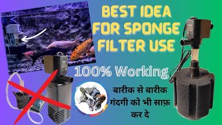 How to use Sponge Filter  Sobo Sponge Filter use  Sponge Filter Work Kaise karta hai [upl. by Viviana]