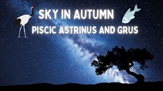 Sky in Autumn  Constellation  Piscis Austrinus and Grus [upl. by Frederigo]