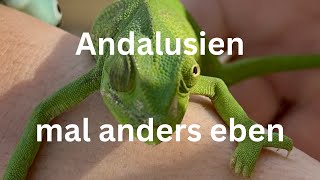 Andalusien mal anders eben [upl. by Akeylah120]