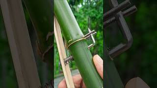 Bamboo creations with Simple Bamboo Idea Bamboo Diy Slingshots Bambooart [upl. by Royo]