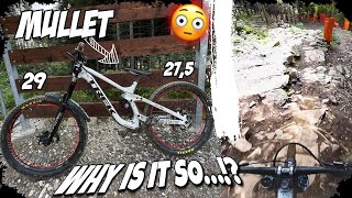 Mullet vs 29er Trek Session Extreme Test 😱 Trailpark Klinovec [upl. by Enwahs]