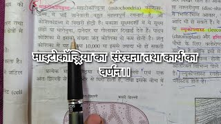 माइटोकॉन्ड्रिया की संरचना तथा कार्य का वर्णन [upl. by Luhar]