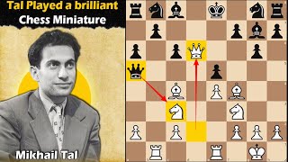 Tal played a brilliant chess miniature  Tal vs Tringov 1964 [upl. by Nonad]