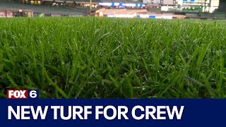 American Family Field New turf for Milwaukee Brewers opening day  FOX6 News Milwaukee [upl. by Suiratnauq]