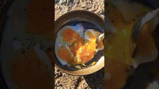 Cooking Egg for breakfast shorts camping campskills in Nature cooking [upl. by Wilone]