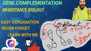 GENE COMPLEMENTATION EXPLAINED  CSIR NETGATEINHERITANCE BIOLOGYEASY [upl. by Aical]