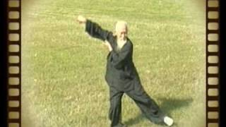 Daoist Bagua Master Lu Zijian 117  Taiyi Huolong Palm [upl. by Moshell210]