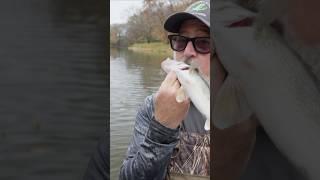 Walleye Fishing with Andrew Zimmern fishing [upl. by Pat470]