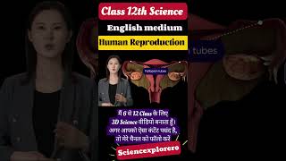 Human Reproduction  Class 12th  Biology ncert neet biology [upl. by Ramsey975]