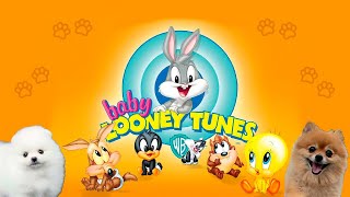 Baby Looney Tunes em cachorrês  NOSTALGIA [upl. by Thea]